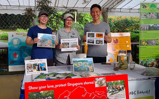 No Wildlife in Singapore? Wildlife Volunteer Groups In Singapore Will Prove You Dead Wrong! 2 NUS Toddycats