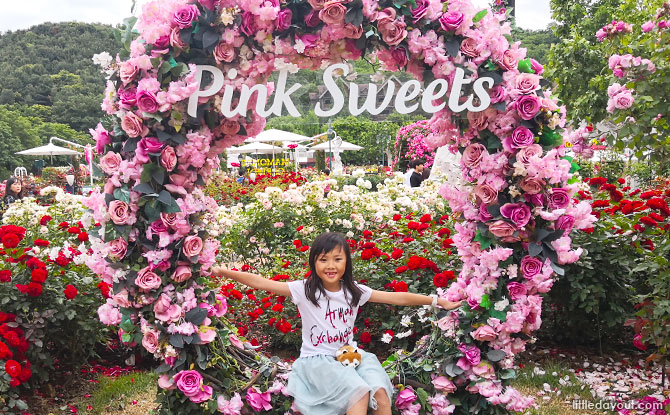 Rose Garden at Everland