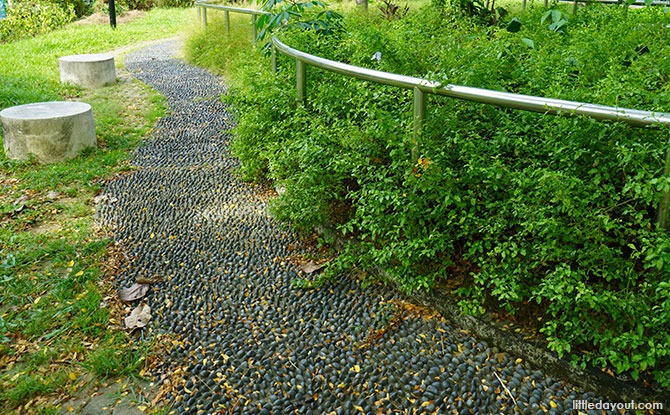 Bedok Town Park Facilities