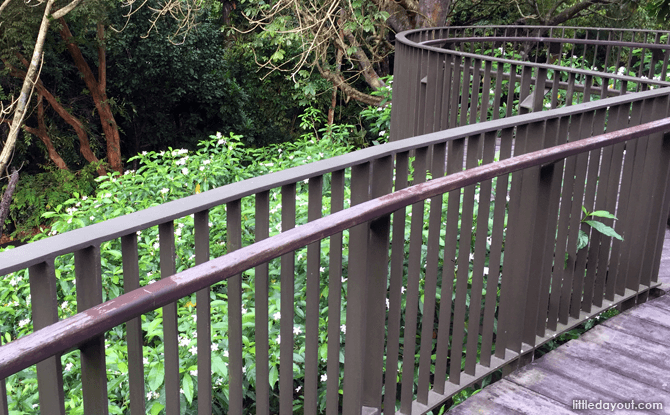 Boardwalk at Fragrant Garden