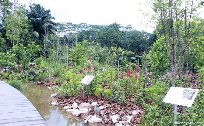 Botanist Boardwalk