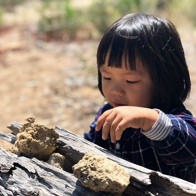 Exploring the Outdoors