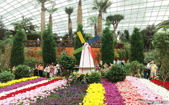 Gardens by the Bay Flower Dome: 9 Gardens That Take You Around the World 9 Field Of Tulips
