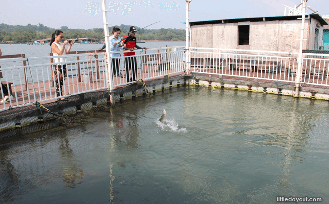 Smith Marine Sure-Catch Fish Pond