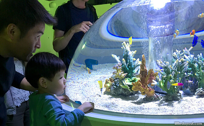 Father and child bonding at Osaka Aquarium
