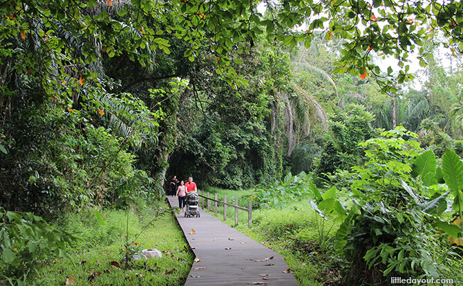 Windsor Nature Park: Venus Loop boardwalk for strollers