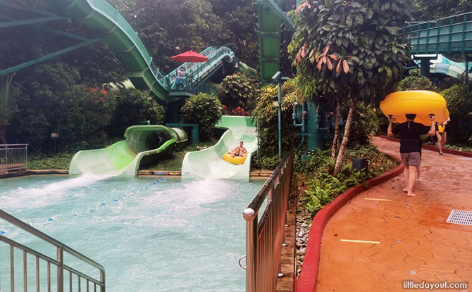 Water slides at Adventure Cove