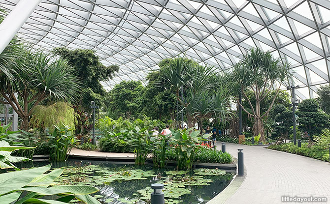 Canopy Park & Changi Experience Studio Reopening
