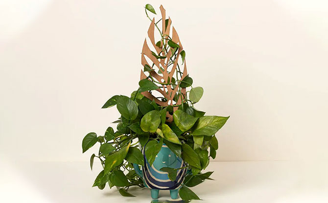 gifts for plant parents