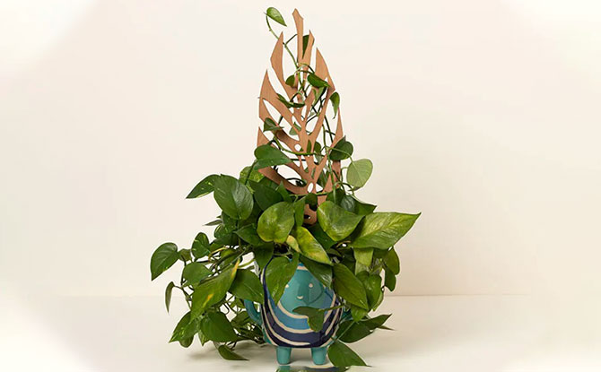 Gifts For Plant Parents