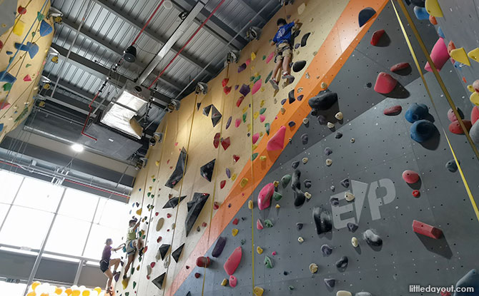 A Total of 50 Climbing Walls