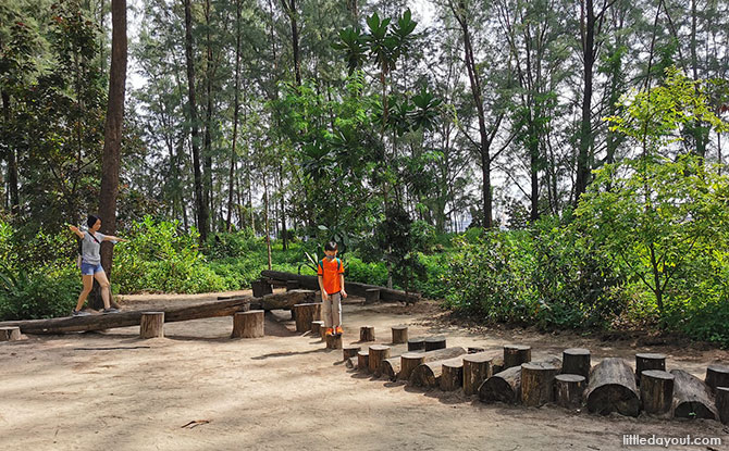 Play at the Casuarina Exploratory Nature Playgarden