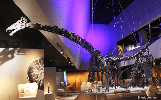 Dinosaurs, Lee Kong Chian Natural History Museum
