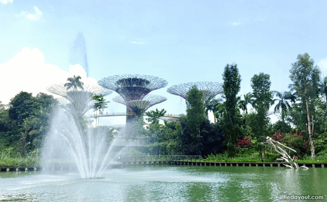 Dragonfly Lake, Gardens by the Bay