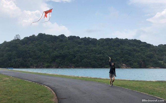 Kite Flying