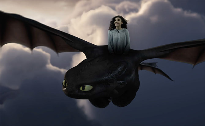 Fly With Toothless