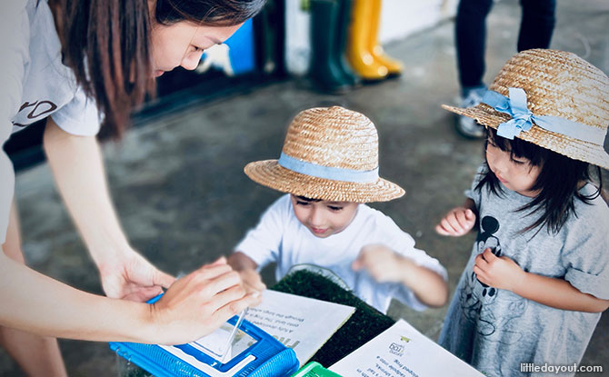 Jurong Frog Farm learning journeys