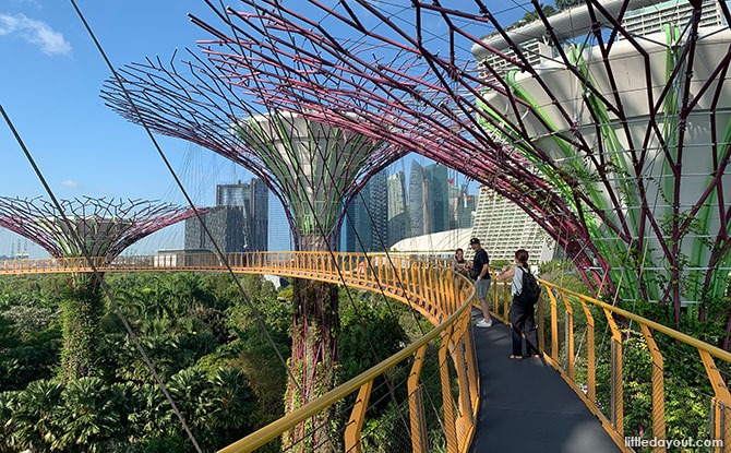 OCBC Skyway: Elevated Walk Amongst The Supertrees