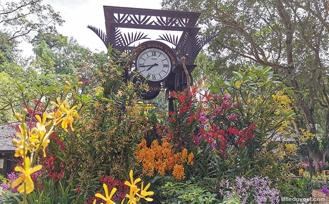 Heritage Orchids of Singapore, Singapore Botanic Gardens