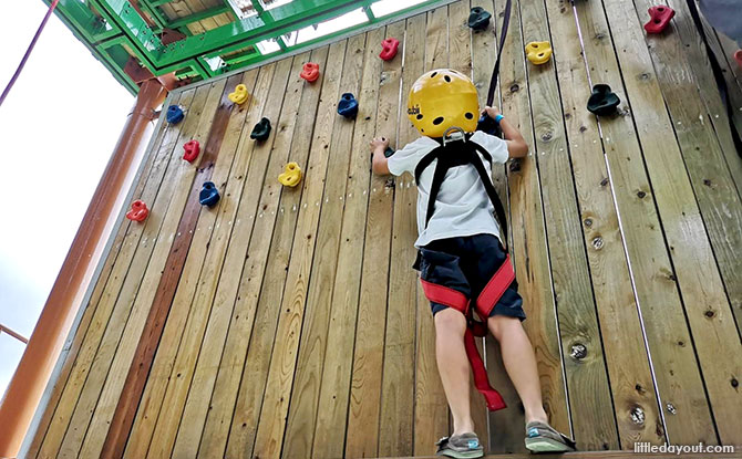 Head to an Obstacle Course or High Elements Rope Course