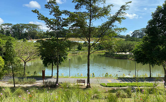 Therapeutic Garden at Punggol Waterway