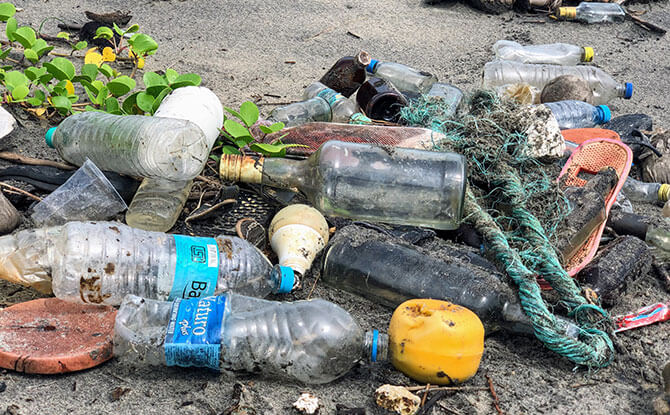 Trash - Take part in beach cleanups to help keep Singapore green