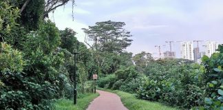 North Bank Of Ulu Pandan Park Connector Reopens