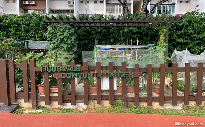 Community Garden