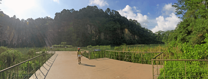 View at Singapore Quarry Wetland