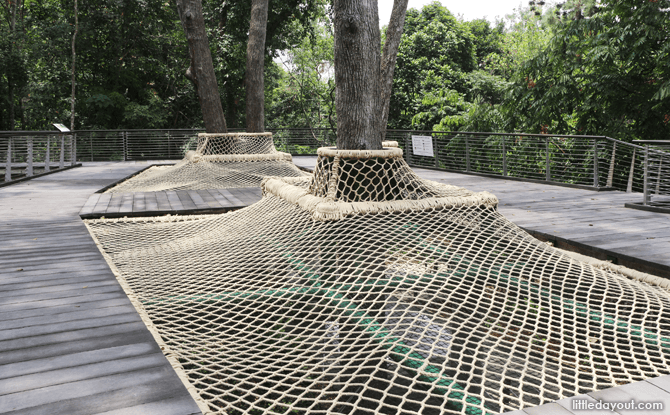 Canopy Web