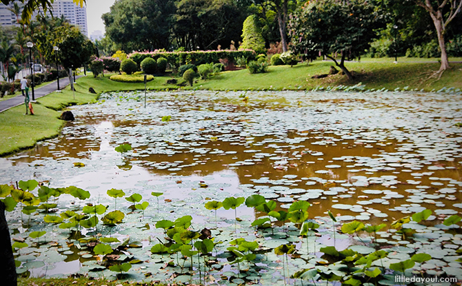 Pond