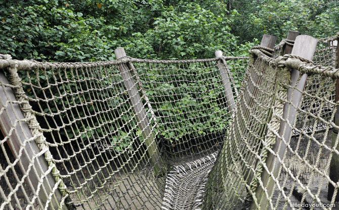 Rope Bridge at Sungei Buloh Mudflats