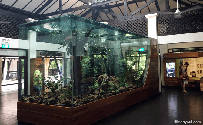 Bukit Timah Nature Reserve Visitor Centre Gallery