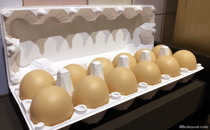 Find out why egg come in packed by the dozen.