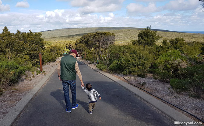 Cape Naturaliste Nature Reserve - Margaret River with Kids