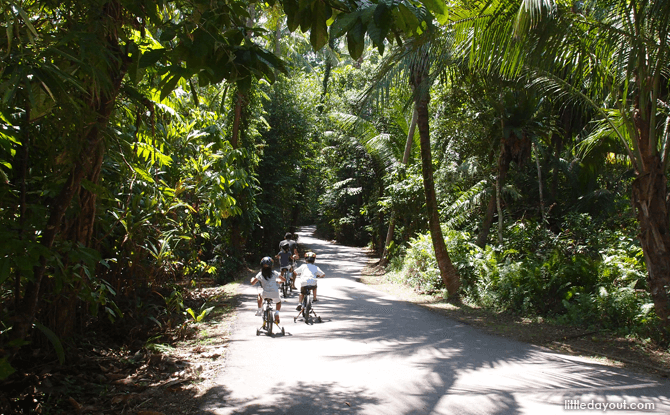 Pulau Ubin