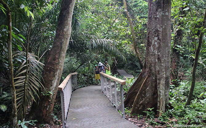 Windsor Nature Park: Squirrel Trail