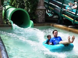 Thrilling Rides