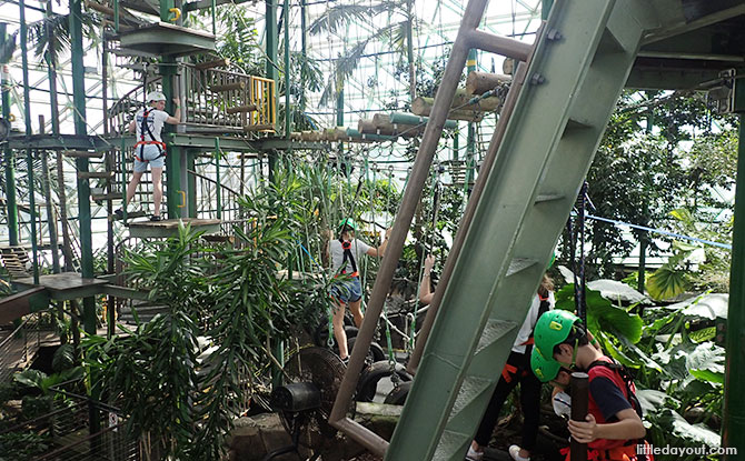 Cairns Zoom & Wildlife Dome