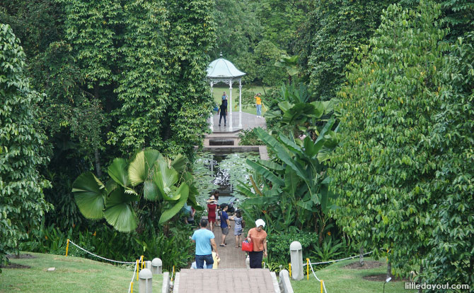 Nature Guided Tours