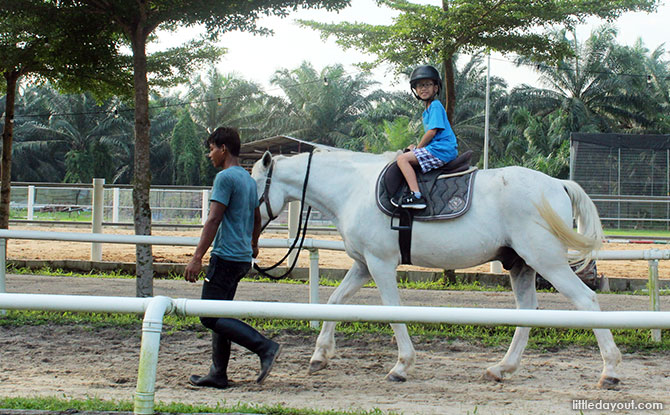 Horse Riding