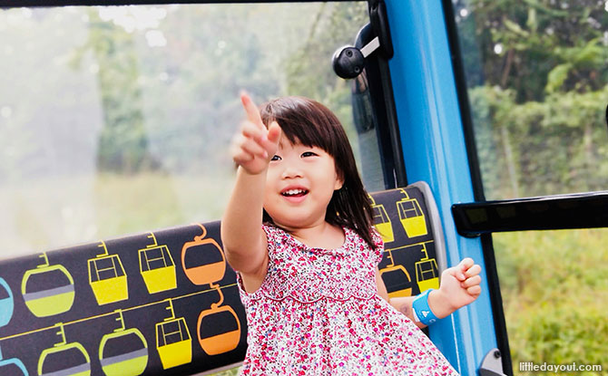 Inside the Singapore Cable Car, Sentosa Line