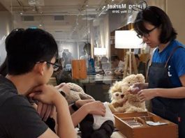 Soft Toy Hospital: TLC For Well-Loved Toys