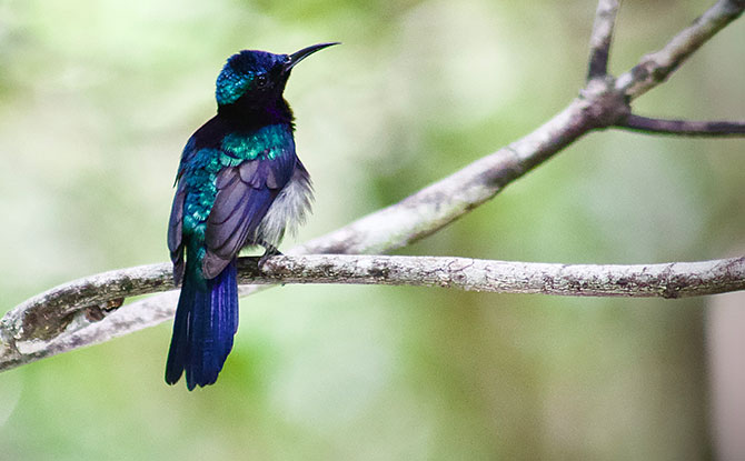 World Wetlands Day on 4 February 2023 at Sungei Buloh Wetland Reserve