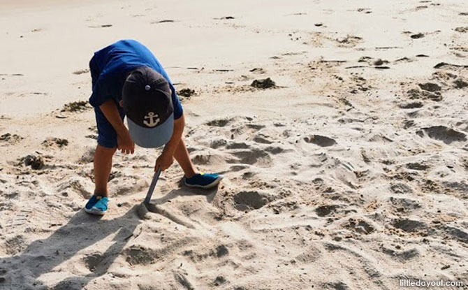 Clean up Beaches