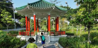 Visiting Yunnan Garden