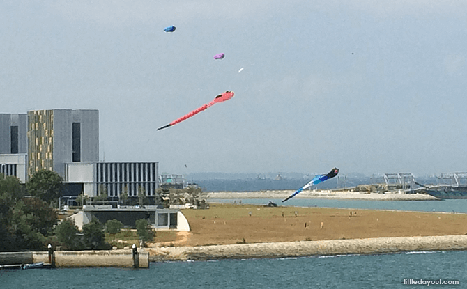 Kites