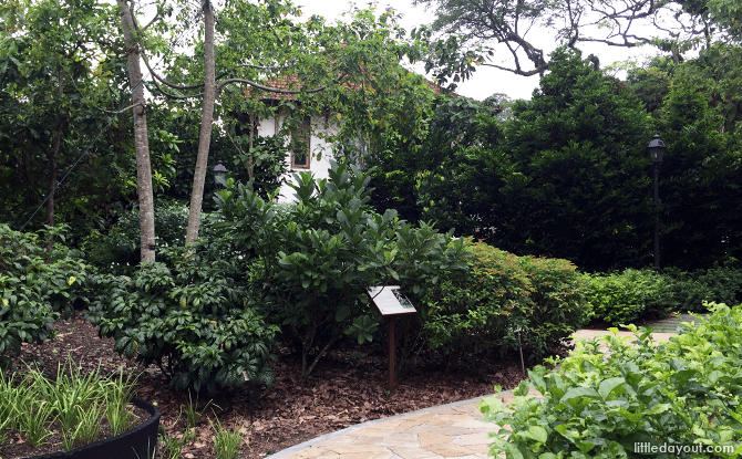 Colonial Bungalows at Singapore Botanic Gardens