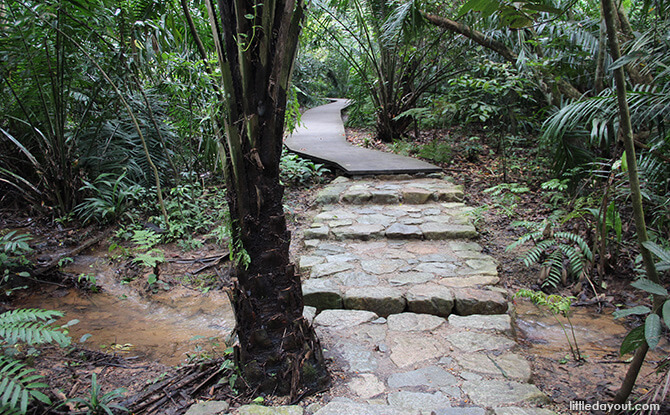 Windsor Nature Park: Squirrel Trail