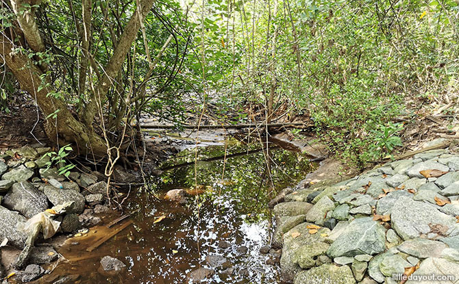 Find the Estuary